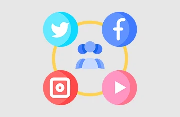 social media marketing india