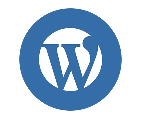 Skilled WordPress developer in India offering expert development services